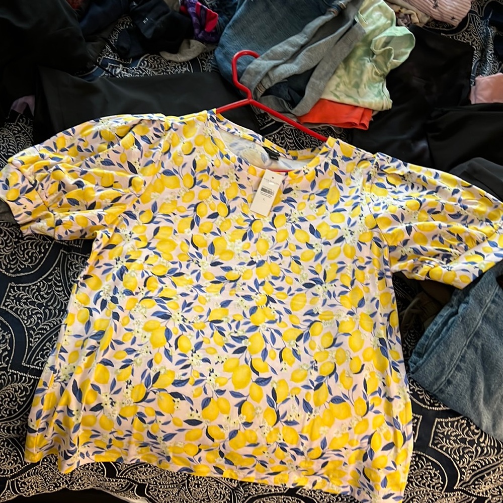 Ann Taylor Shirt